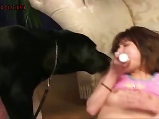 Animal Sex Girl Videos