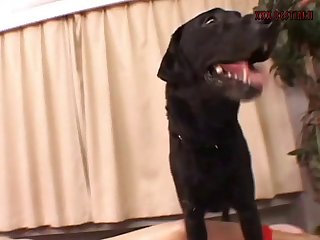 Girl Caught Having Sex With Animal