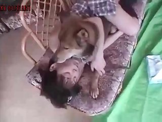 Animal Sex Dog Gay