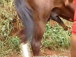 Homemade Animal Sex Movie Dog Fuck Katarina Teen