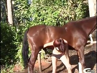Lesbian Sex With Animal