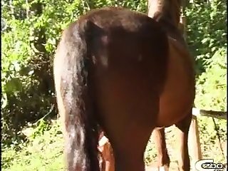 Animal Milk Sex