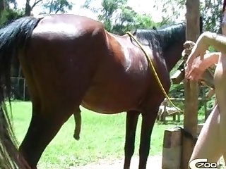 Animal Sex Latest