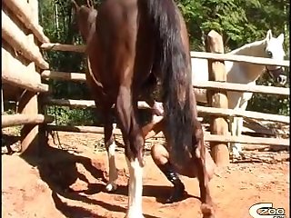 Animal With Person Sex