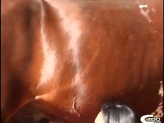 Animal With Person Sex