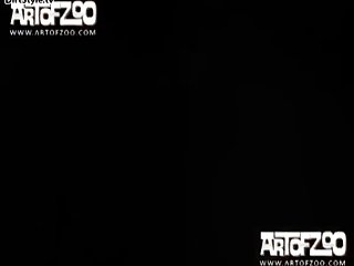 Porn Videos Animal Sex