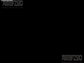 Porn Videos Animal Sex