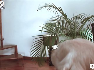 Female Dog Animation Porn