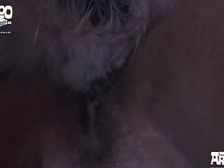 Zoofilia Com Animais