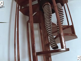 Female Dog Animation Porn