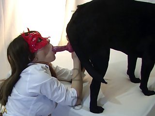 Gay Porn Dog Lick