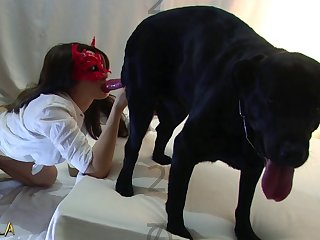 Gay Porn Dog Lick