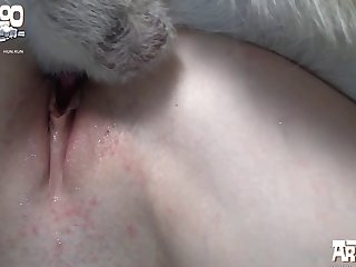 Woman And Dog Sex Porn