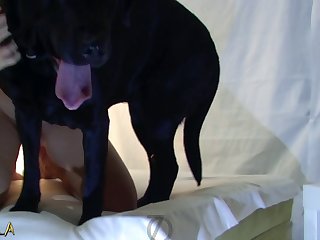 Sex With Female Animal