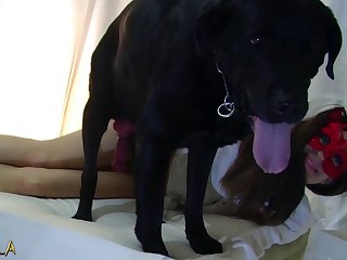 Sex With Female Animal