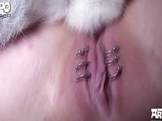 Animated Horse Porn Gif