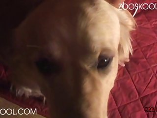 3d Dog Porn Comic