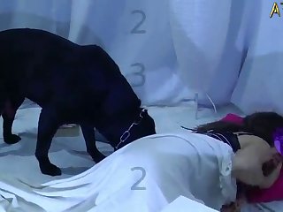 What Animal Can Change Its Sex
