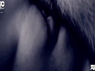 Porn Horse Compilation