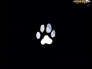 Logan Guminski Video With Dog Porn