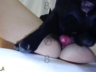 Zoofilia . Com