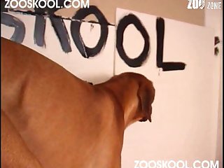 Black Girl Animal Sex