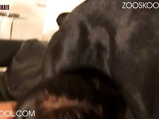 Imskirby Dog Porn Video