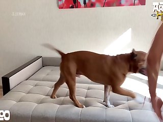 Ai Sex Animal