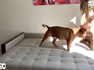 Ai Sex Animal