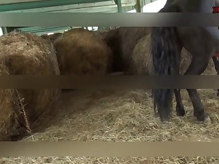 Teen Dog Handjob Porn