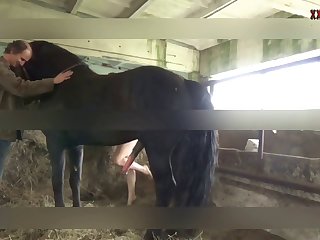 Teen Dog Handjob Porn