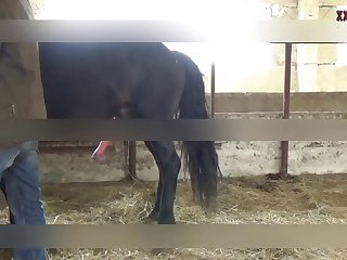 Teen Dog Handjob Porn