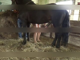 Teen Dog Handjob Porn