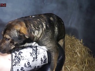 Japanese Animal Sex Movies