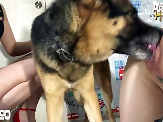 Woman Riding A Dog Porn