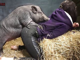 Animal Crossing Egypt Cat Sex