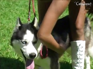 Zoofilia Anal Com Porco