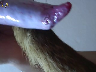 Free Hamster Zoo Videos