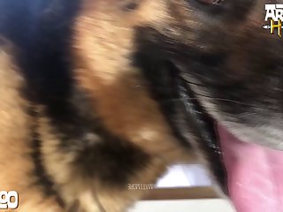 Guys Fucks Horse Porn