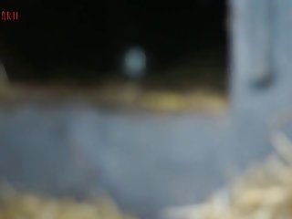 Rashmika Sex Scene Animal