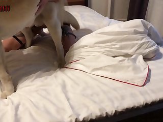Dog Deepthroat Cock Porn