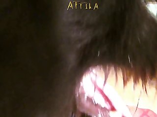 Sex Animal Japanese