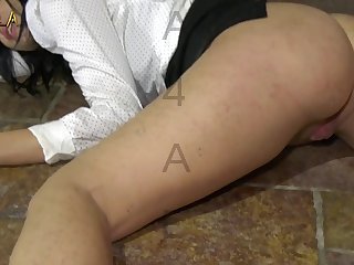 Zoofilia Gatos Gay