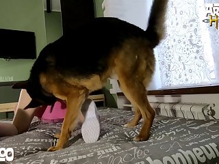 Animal Phone Sex