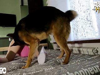 Animal Phone Sex