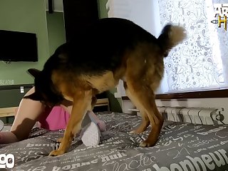 Animal Phone Sex