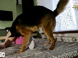 Animal Phone Sex