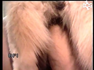 Xxx Porn Girl With Animal