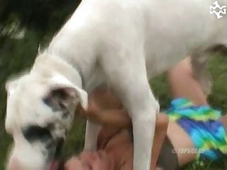 Animal Porn Small Dog