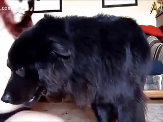 Animal Pussy Porn Gif
